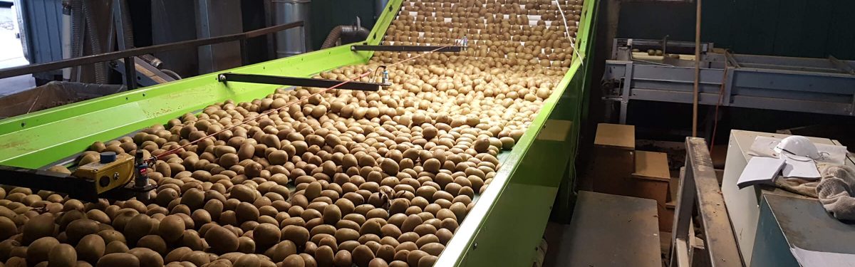 Fruit handling | Fraser Gear | Te Puke, New Zealand
